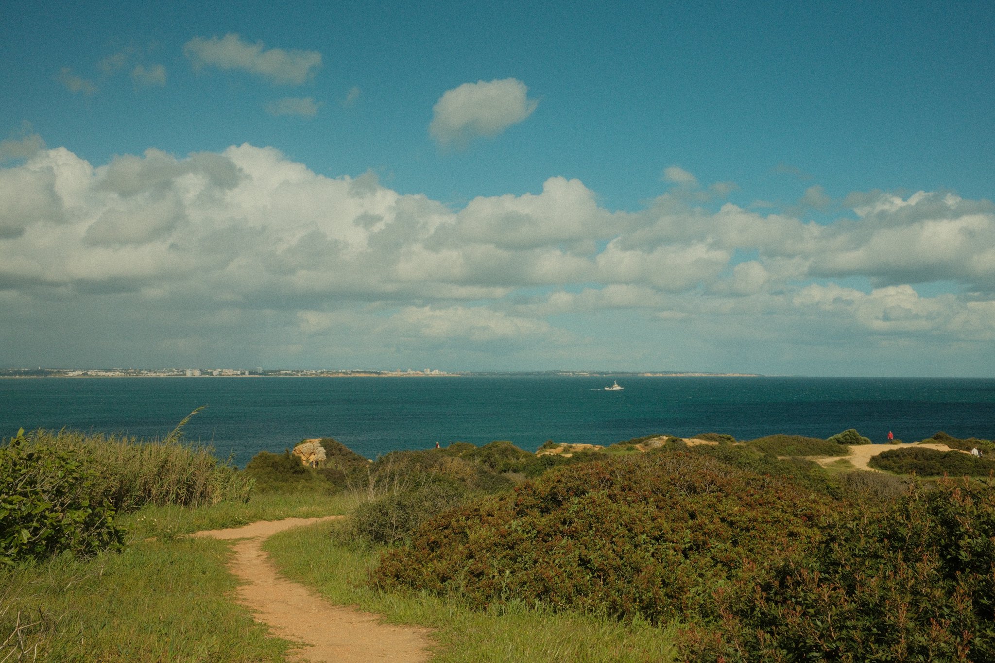 DSCF3536.jpg