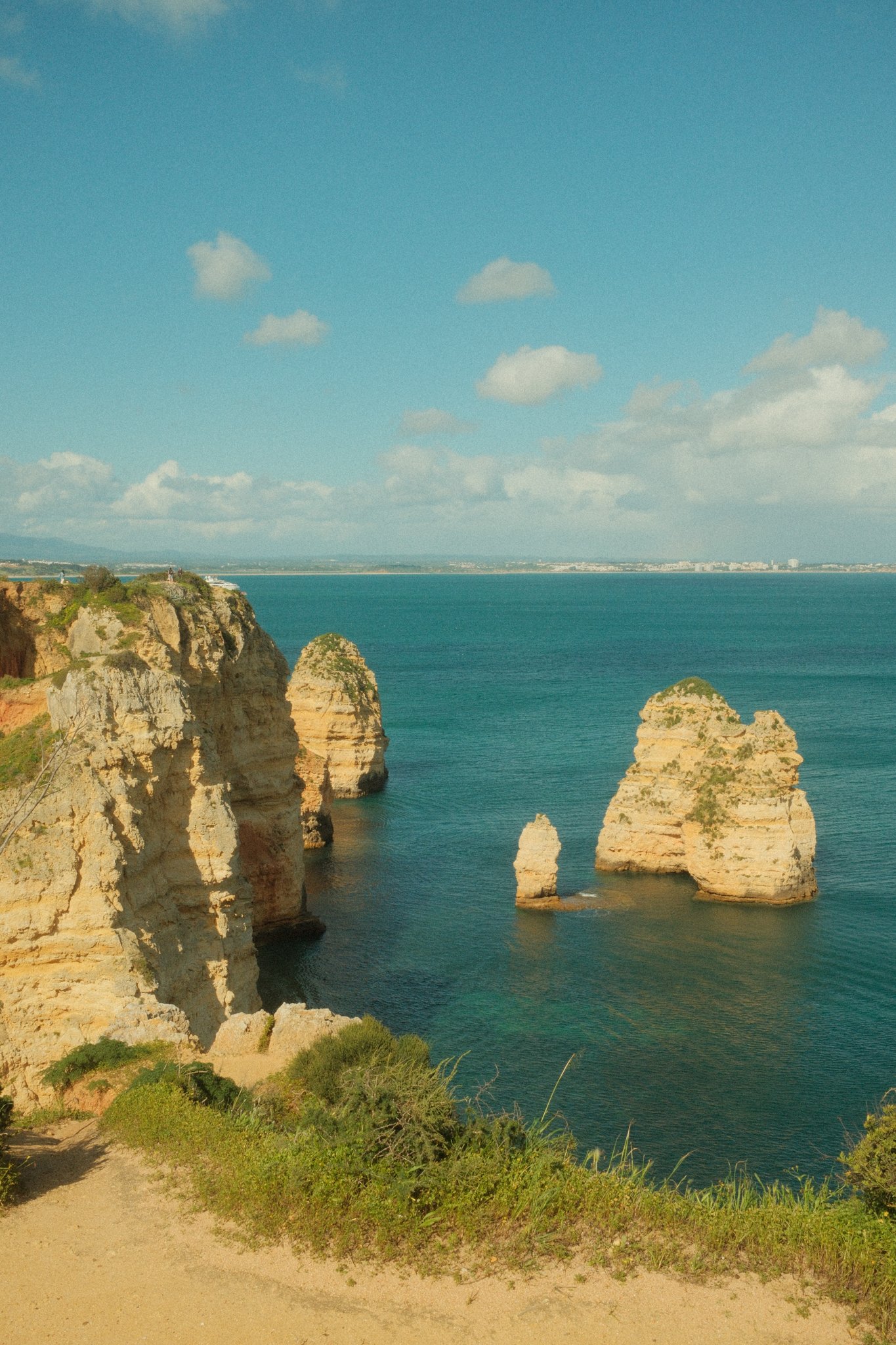 DSCF3542.jpg