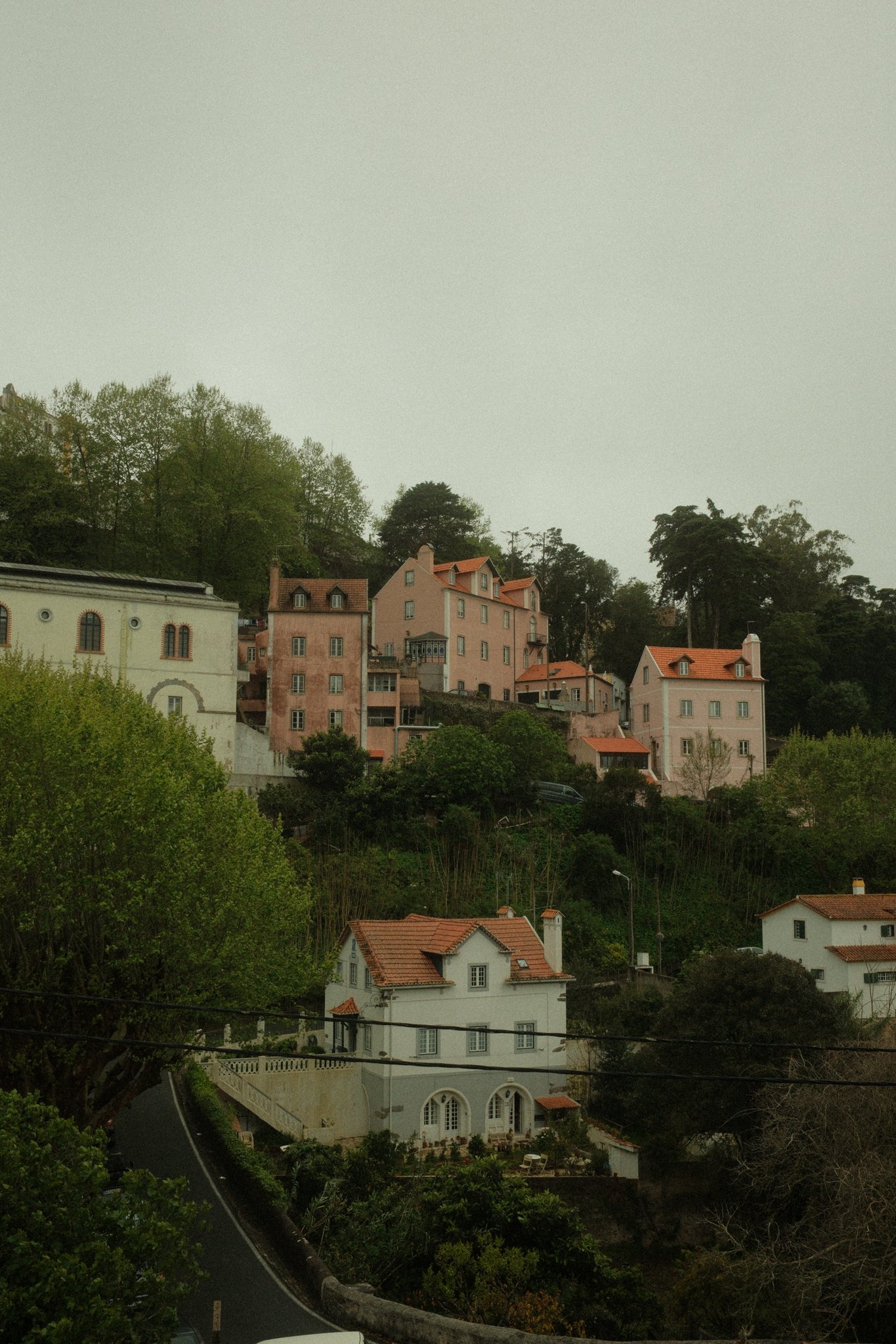 DSCF3589.jpg
