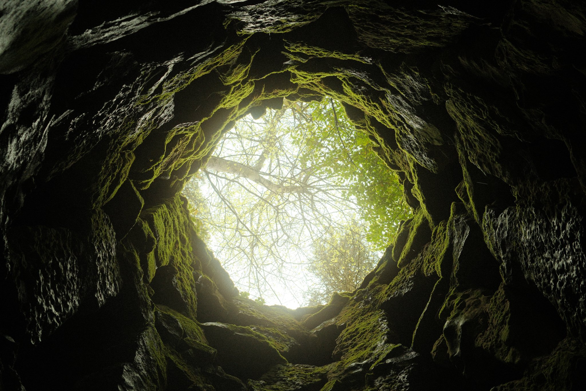 DSCF3619.jpg