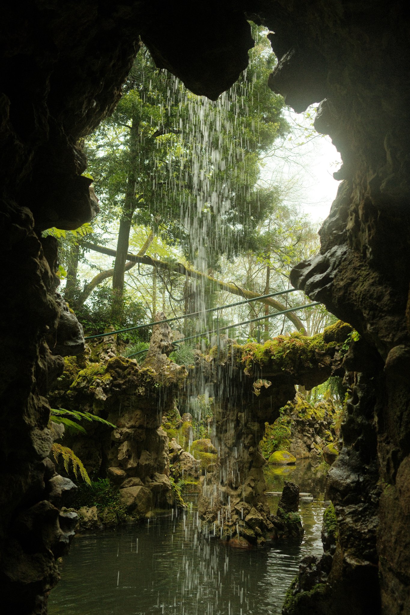 DSCF3627.jpg