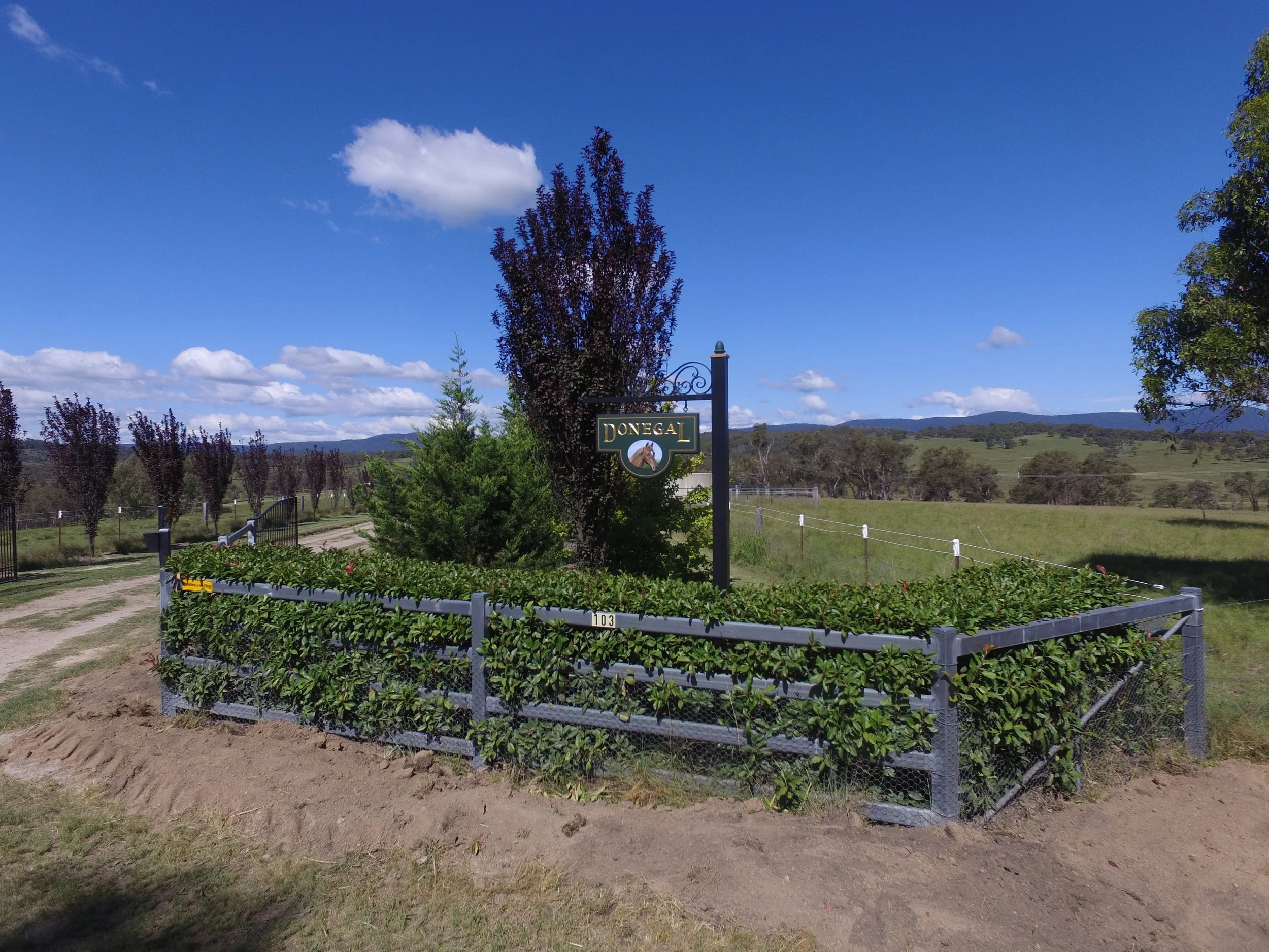 DJI_0020.JPG