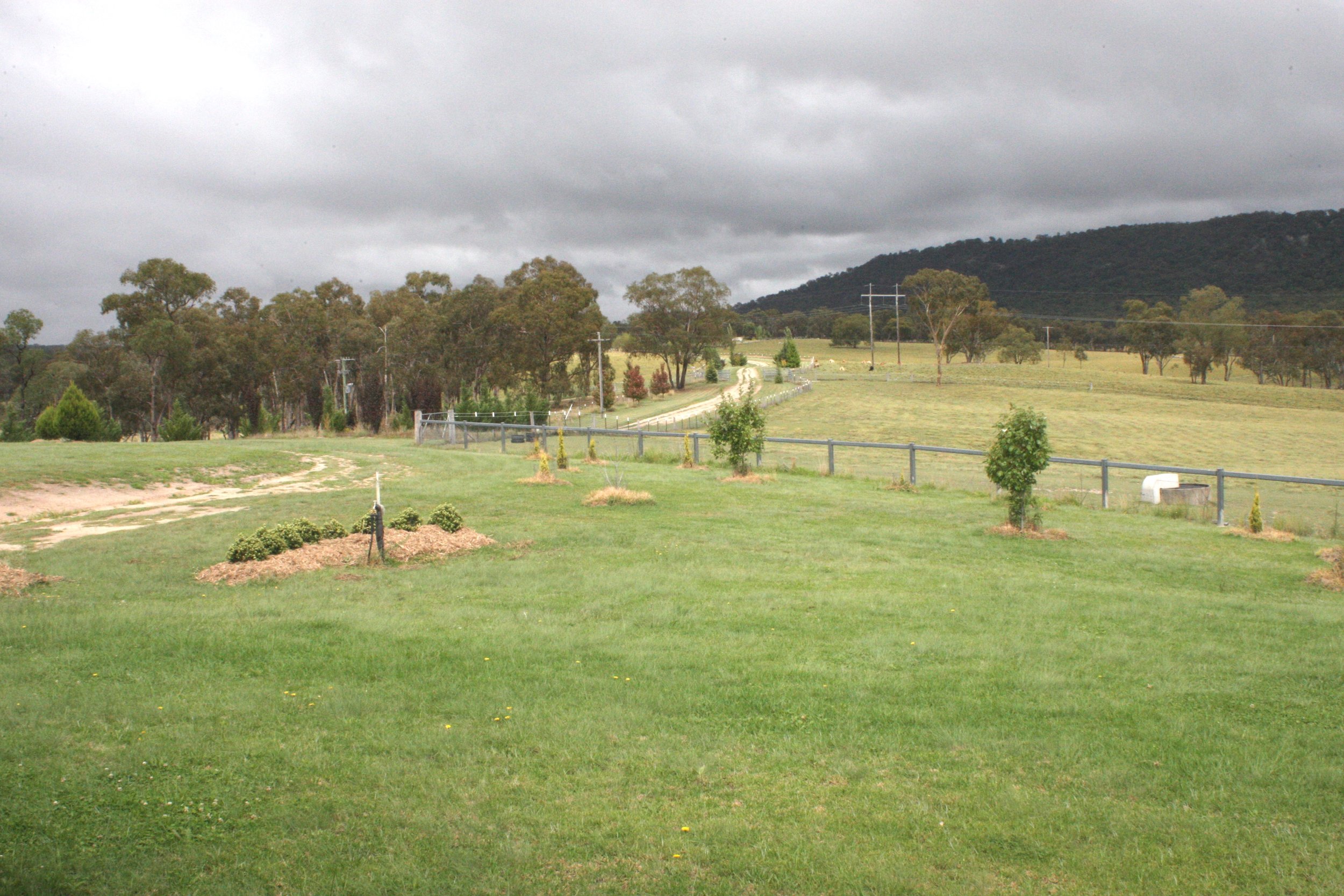 View to the East, garden and paddocks