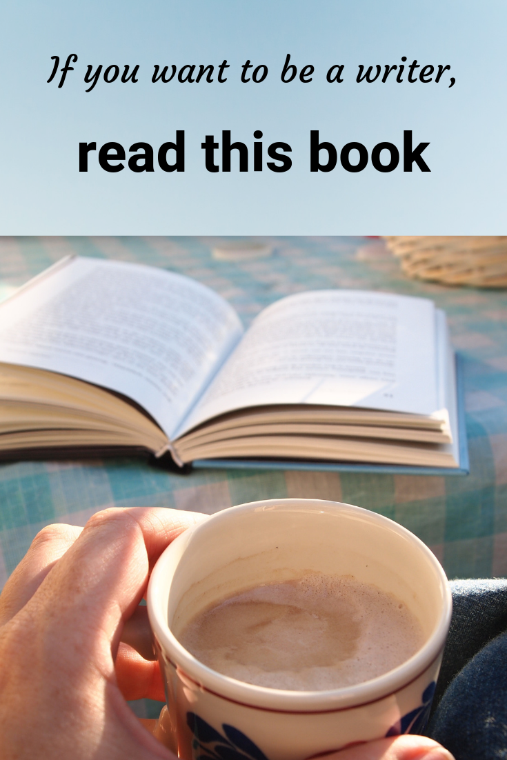 If you want to write read this book: colum mccann’s letters to a young wrtier