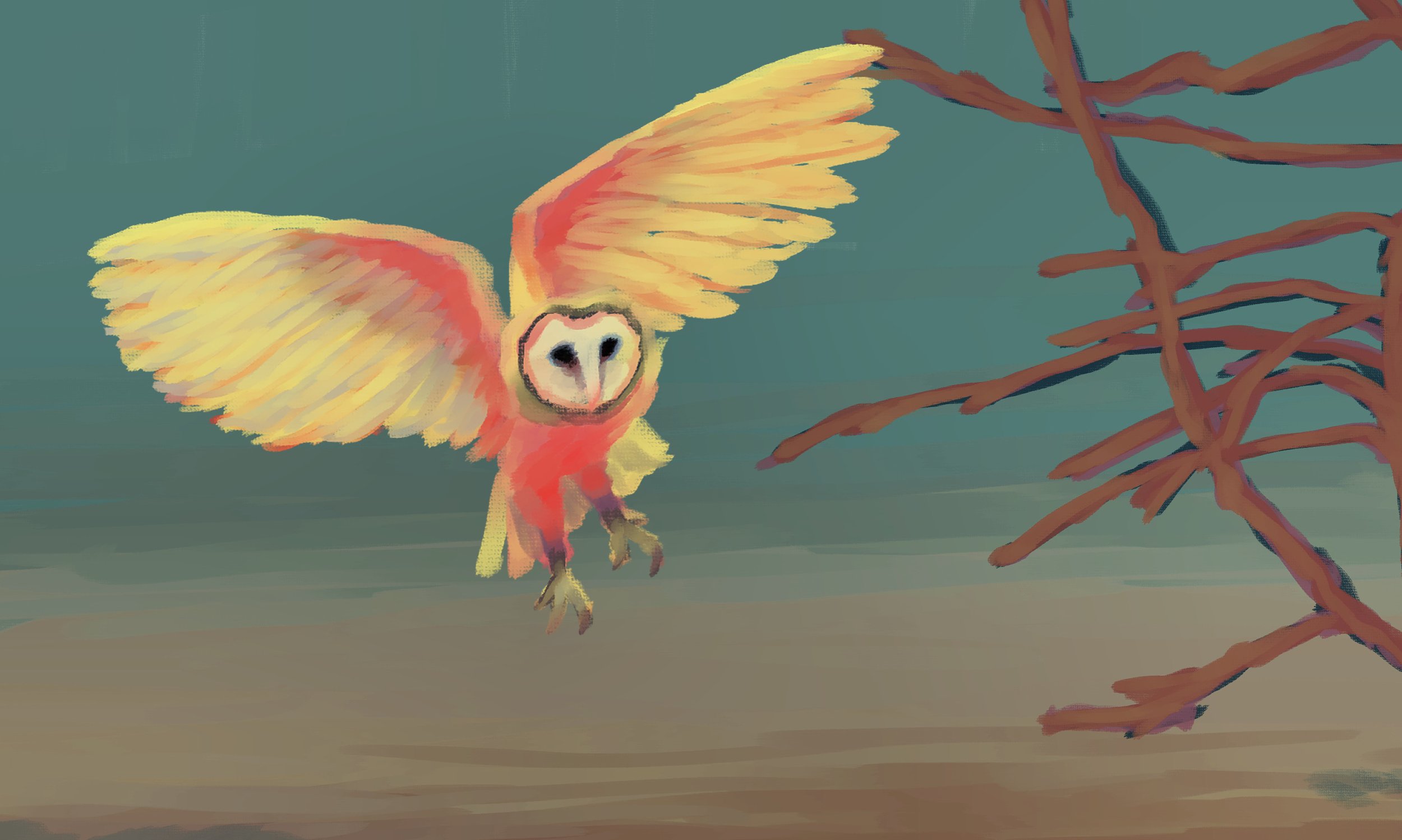Owl Dreams