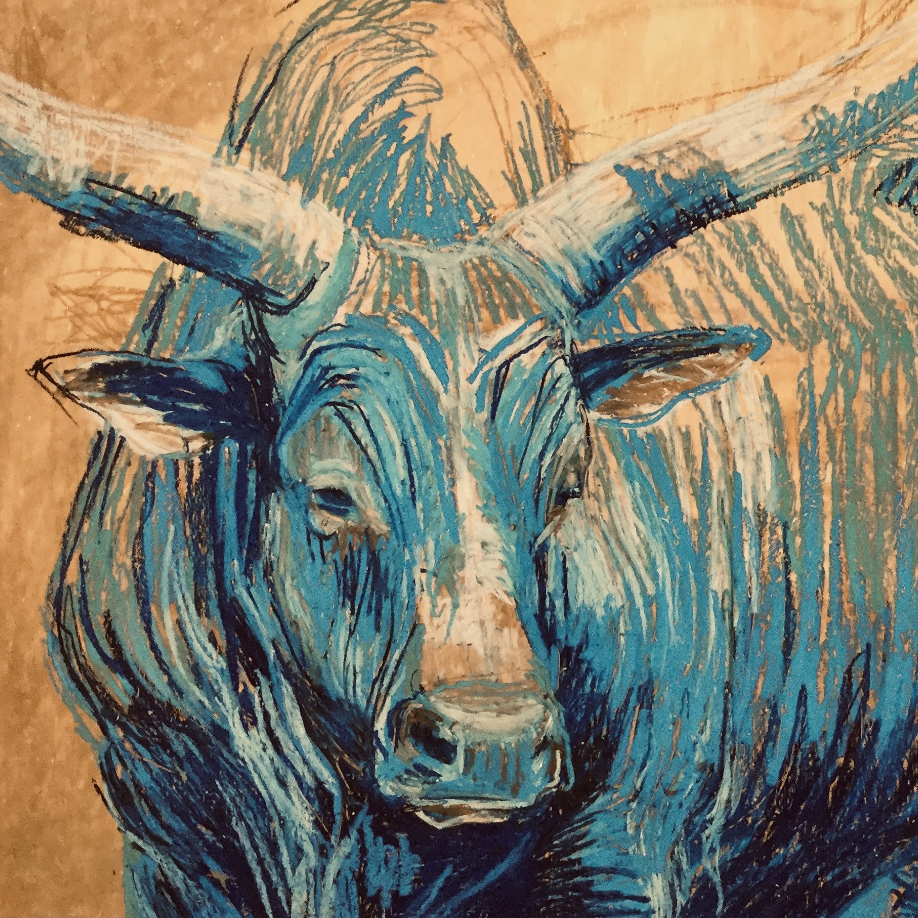 Blue Bull