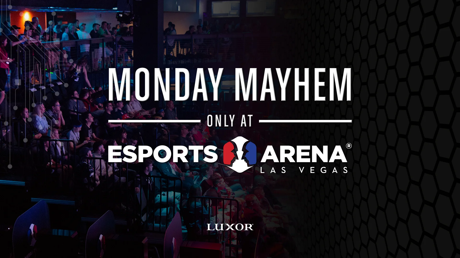 monday_mayhem_general.jpg