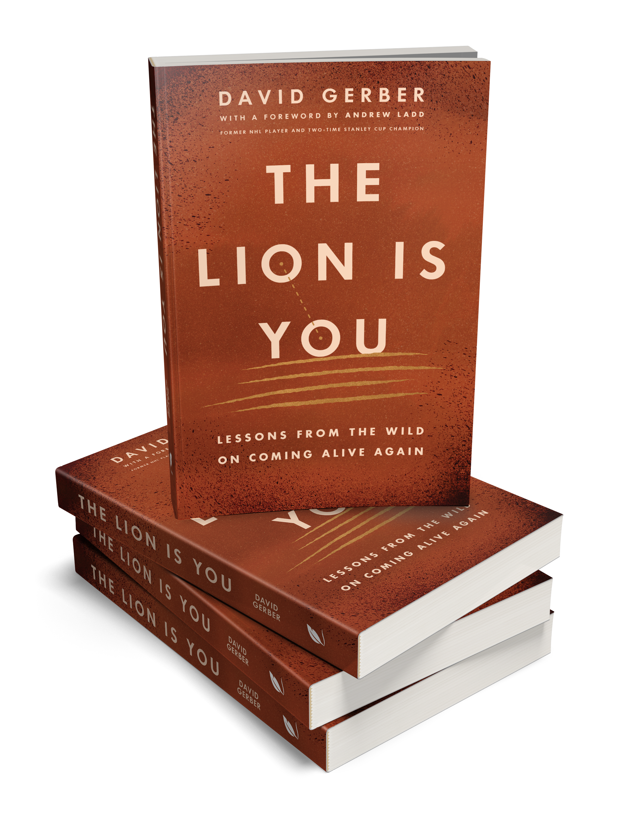 A physical copy of the book titled "The Lion Is You" by David Gerber, with a foreword by Andrew Ladd, stacked on top of two other copies of the same book.
