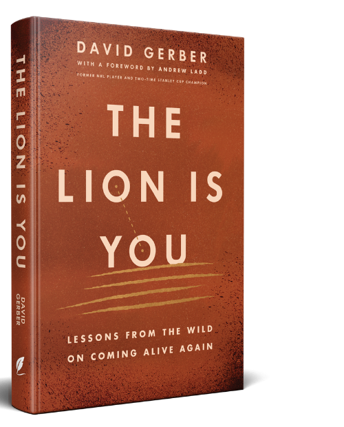 Cover of the book titled 'The Lion Is You' by David Gerber, with a foreword by Andrew Ladd, featuring a brownish-orange background with white text.