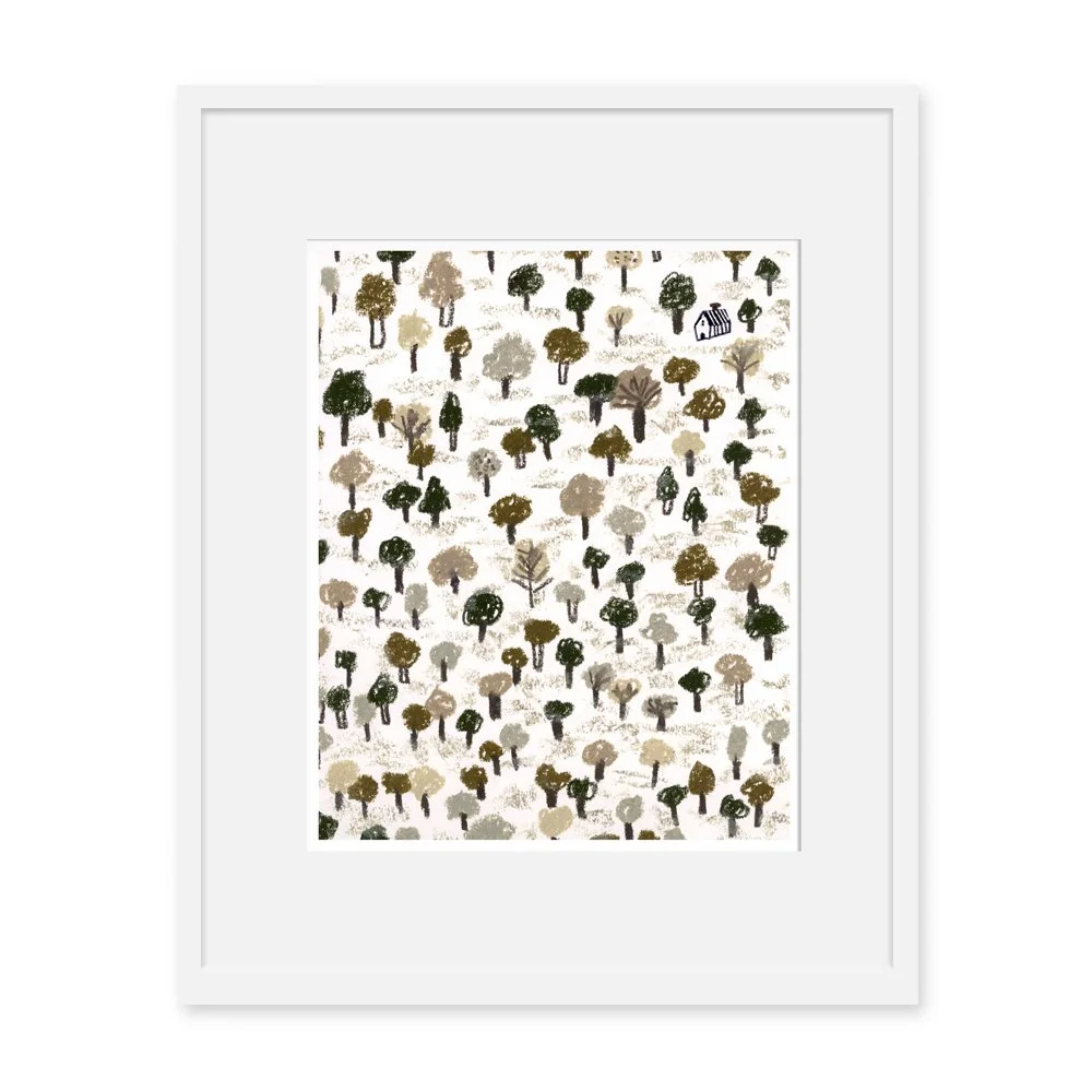 Autumn Forest