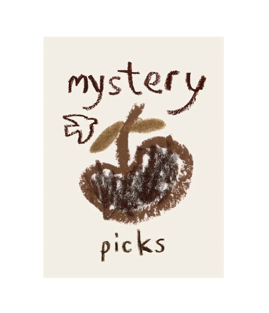 Mystery Picks.jpg
