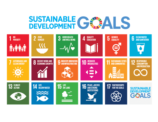 E_2018_SDG_Poster_without_UN_emblem_Letter-US.png