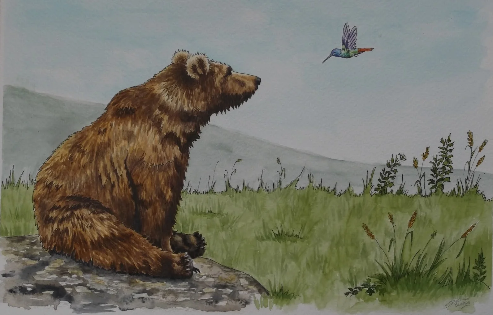 Bear & hummingbird.JPG