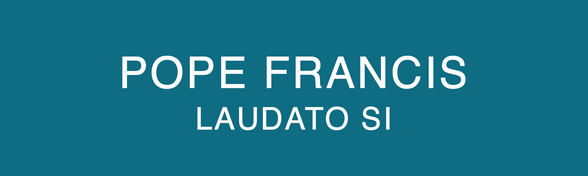 Rectangle Boxes POPE FRANCIS 2.jpg