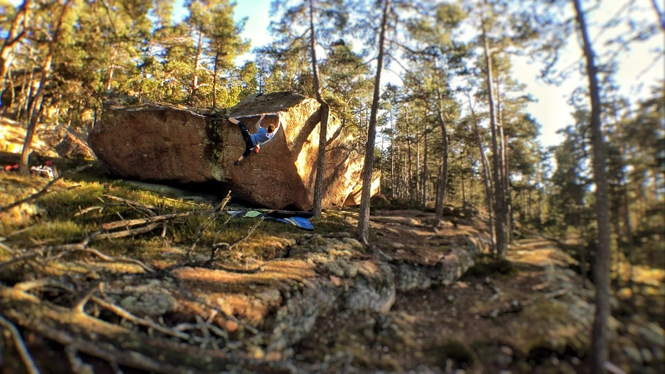Photo by Anssi Laatikainen.