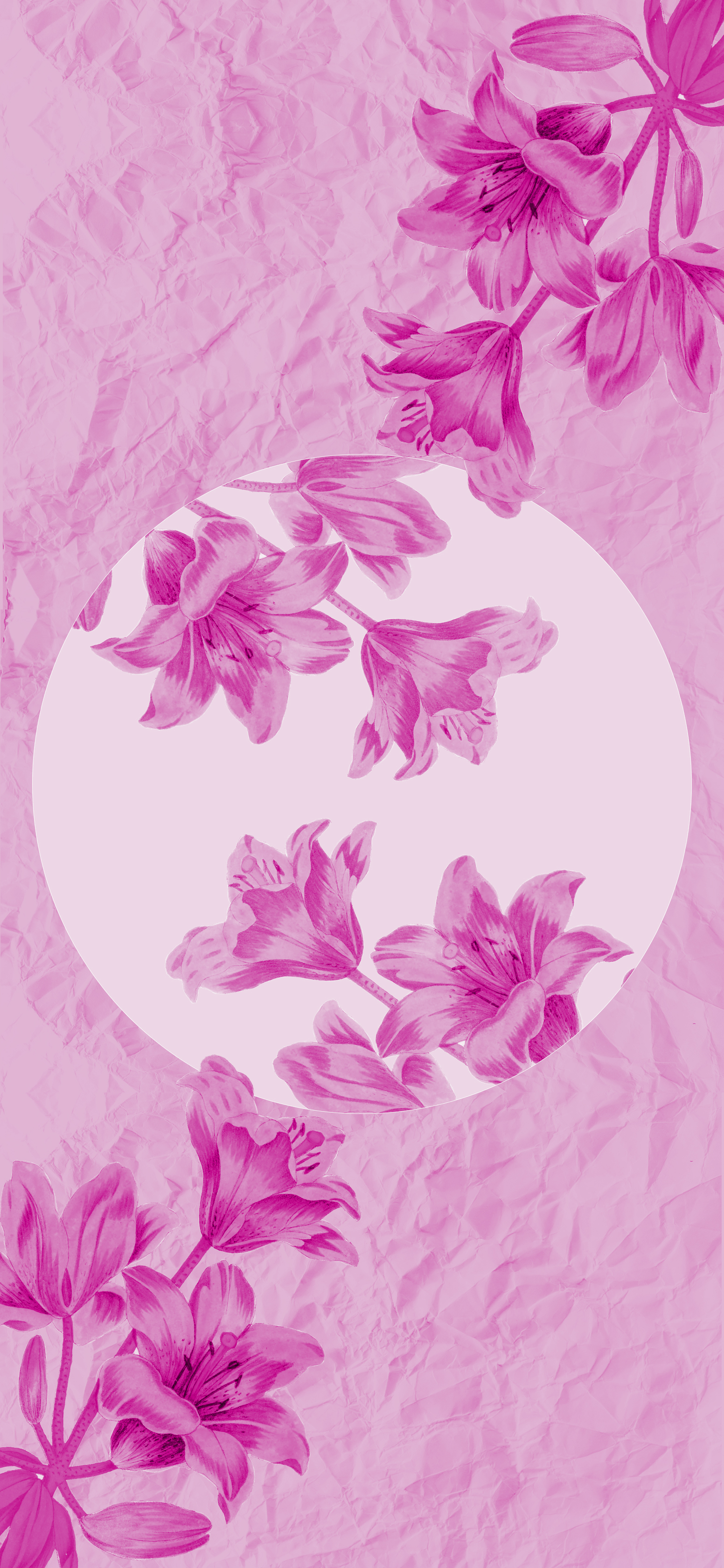 iphone-collage-seven-pink-flower.jpeg