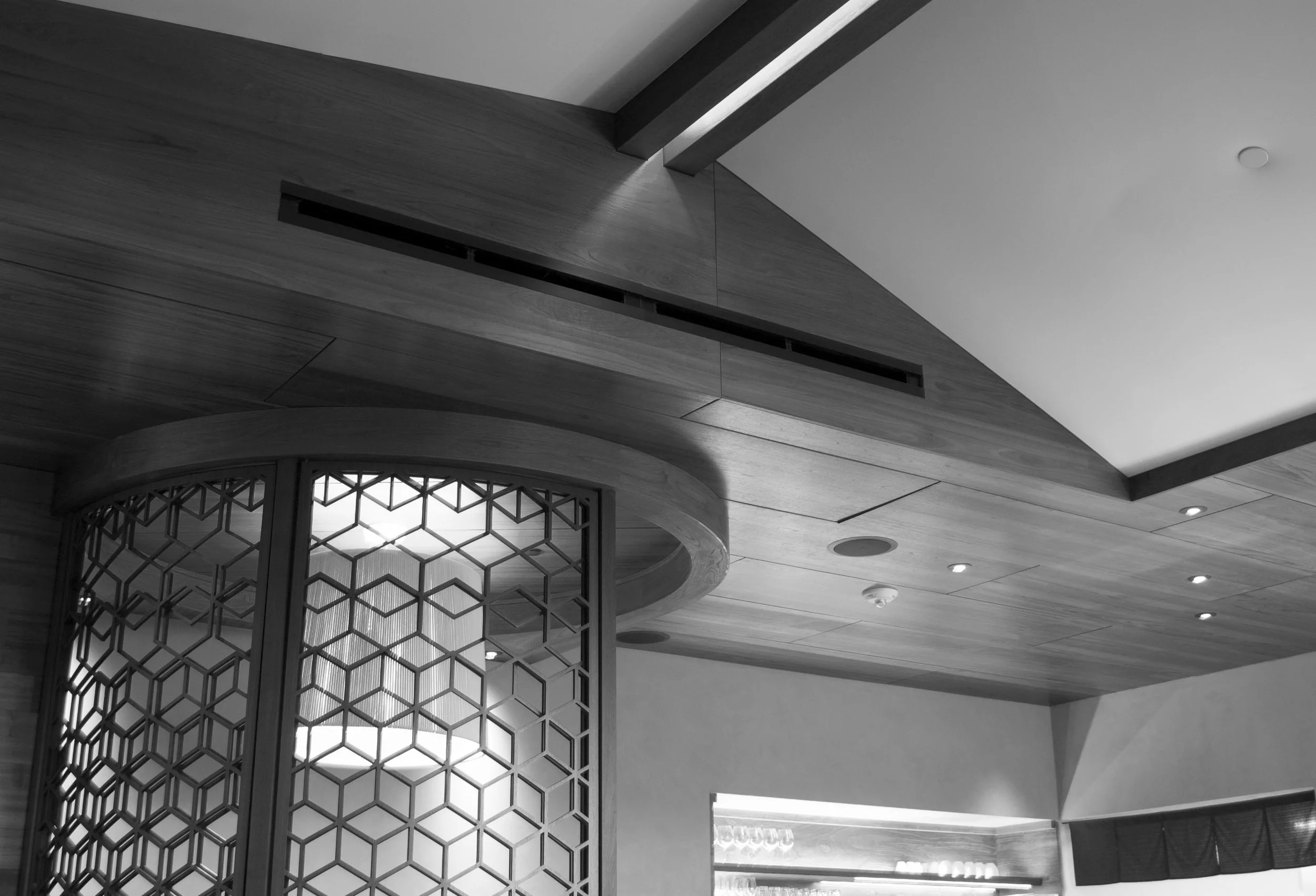 Matsuhisa56(B&W) copy.jpg