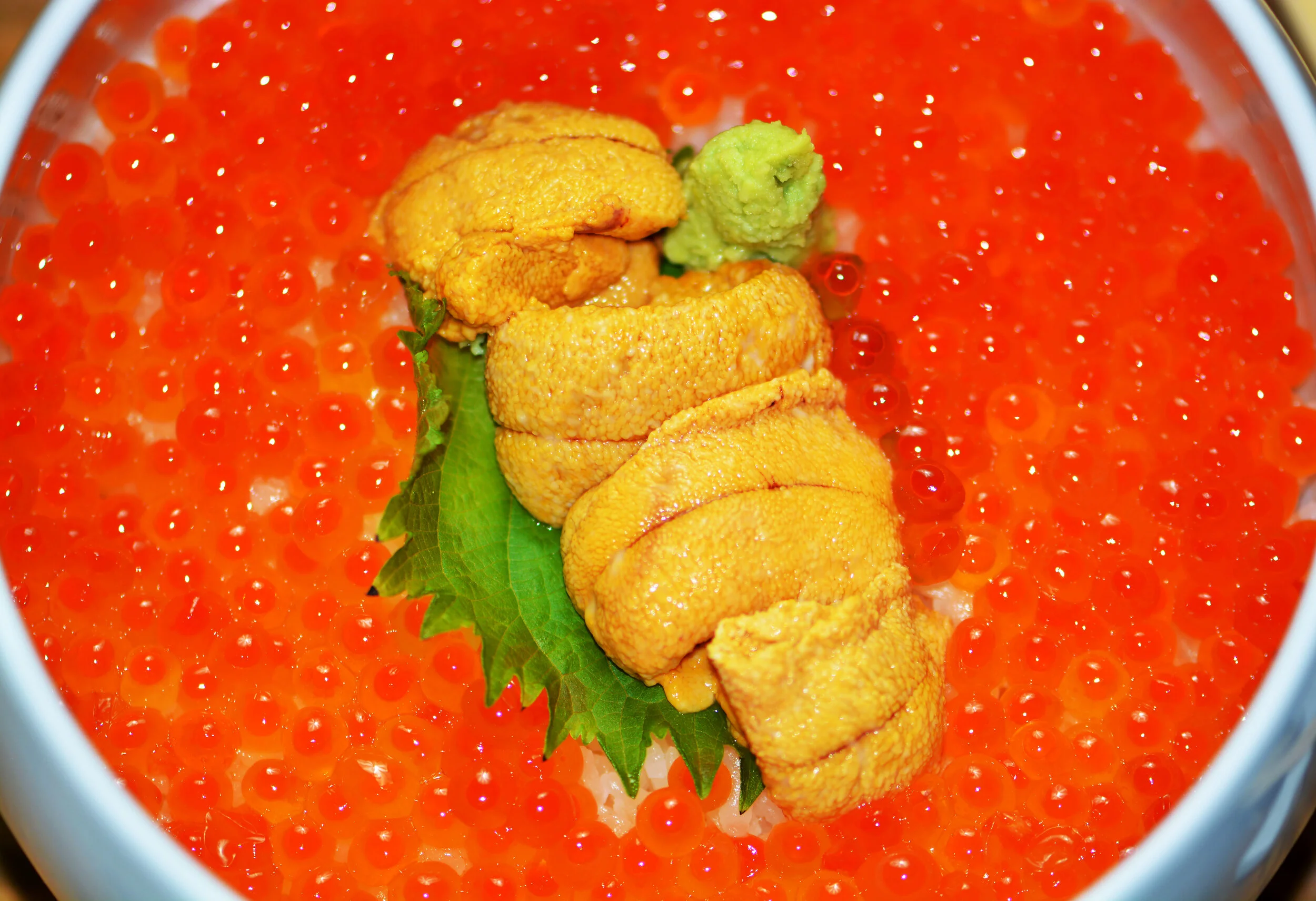 OCTOBER 2 2019 46.jpg