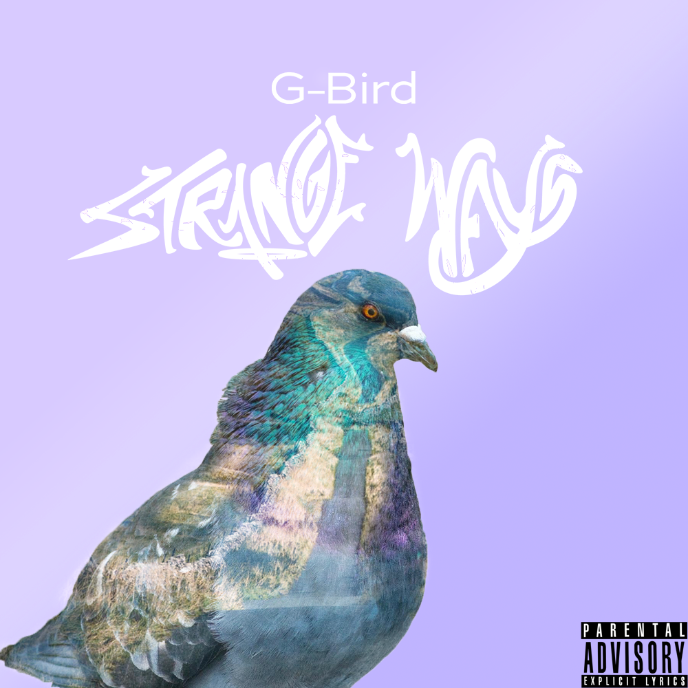 G-bird cover 2.png