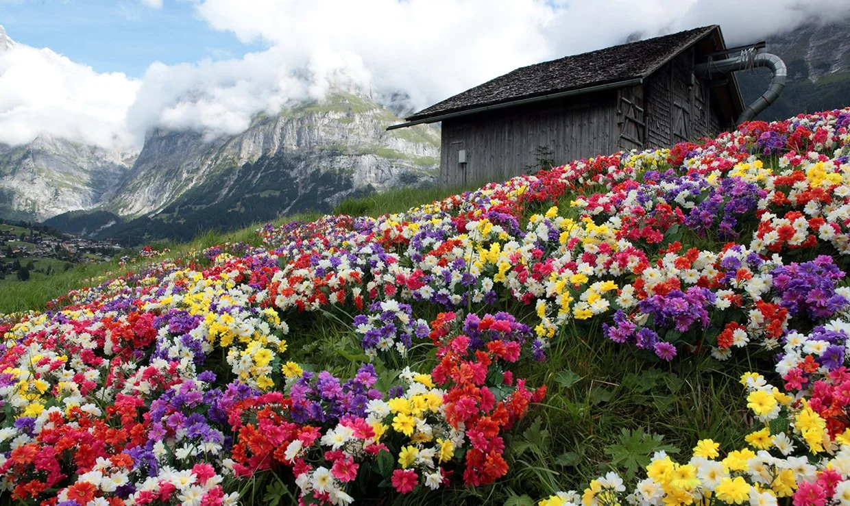 08_Factoryal Landscape.jpg