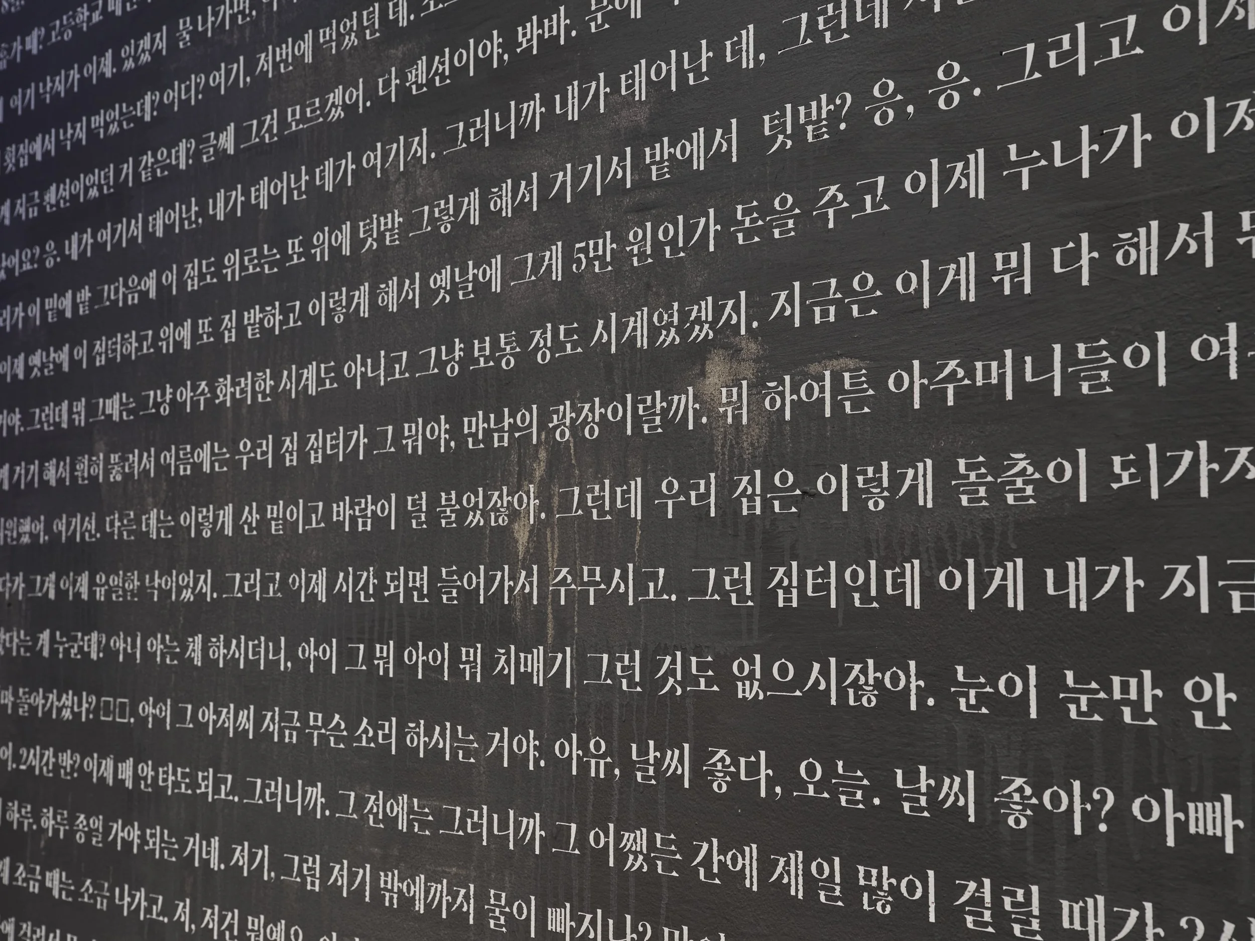 Sujin Lim_ISCP16227_2500px_240dpi_(b).jpg
