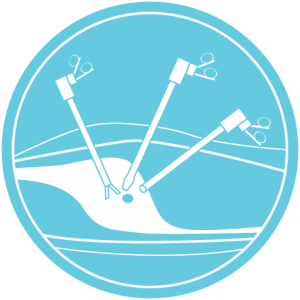 Digestive-Surgery-Clinic-Laproscopy-icon-300x300.png