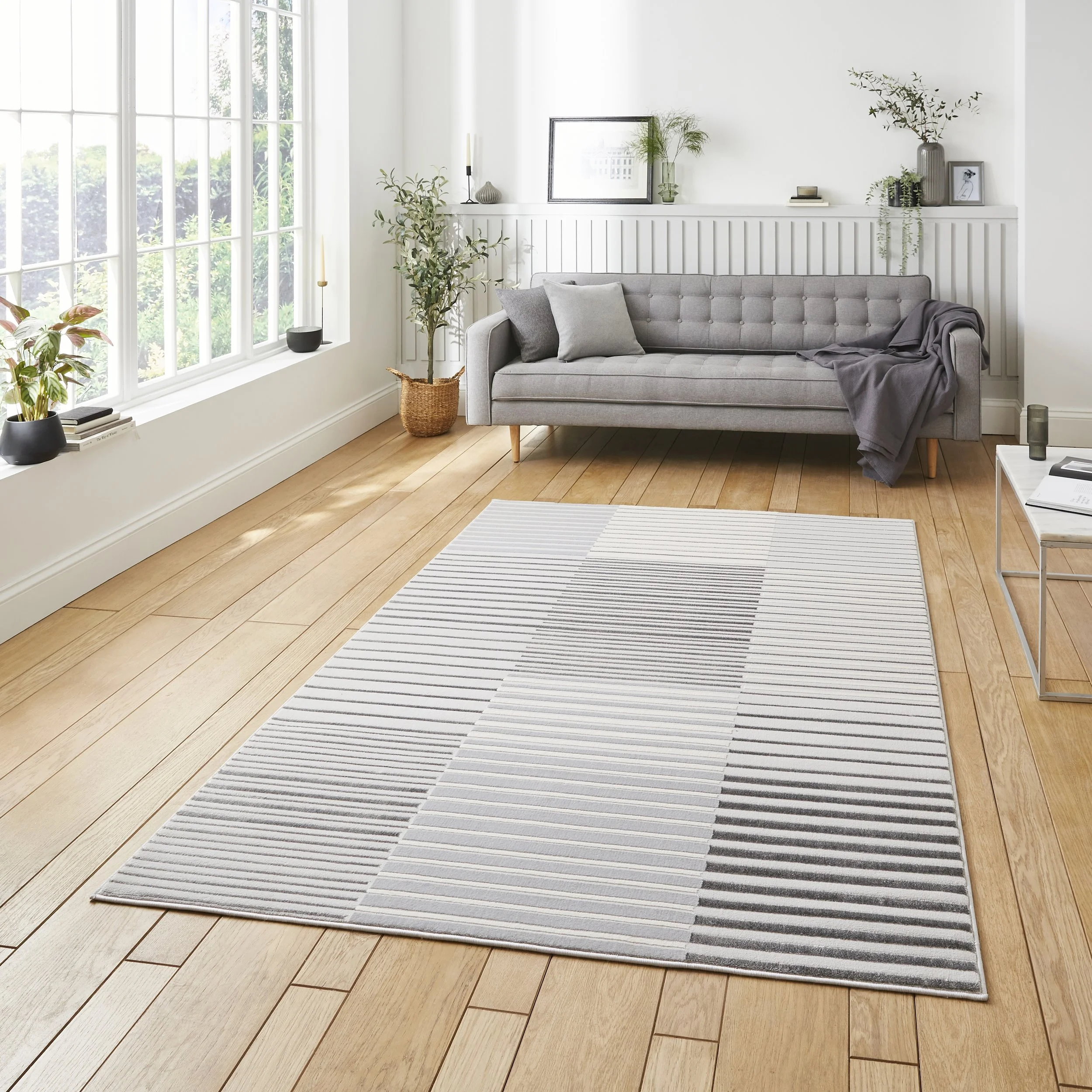 Apollo 2681 Grey.Ivory_1.jpg