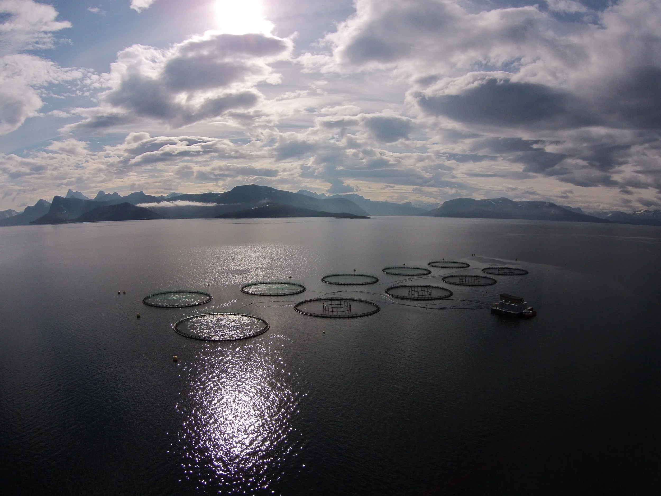 Lokaliteten Forsåstorvika i Tysfjord. Foto: Nordlaks