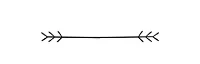 double arrow.jpg