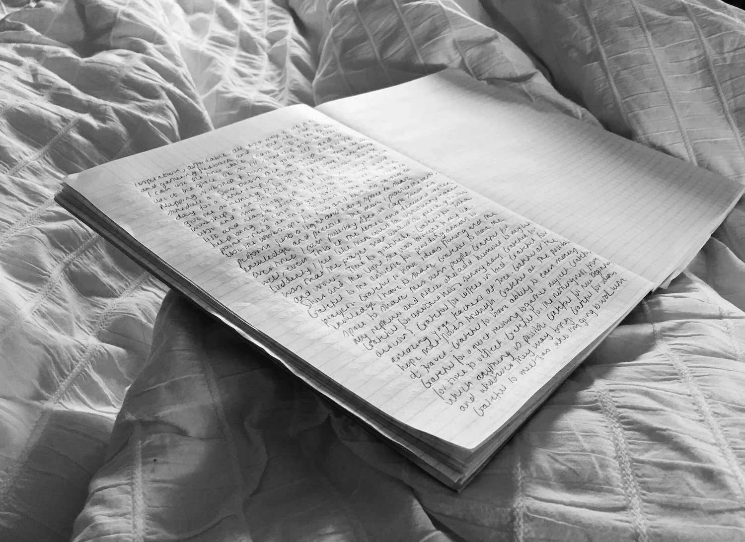 journal notebook diary.jpg