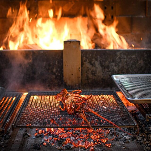 Santa Barbara Spiny Lobster grilling over the embers