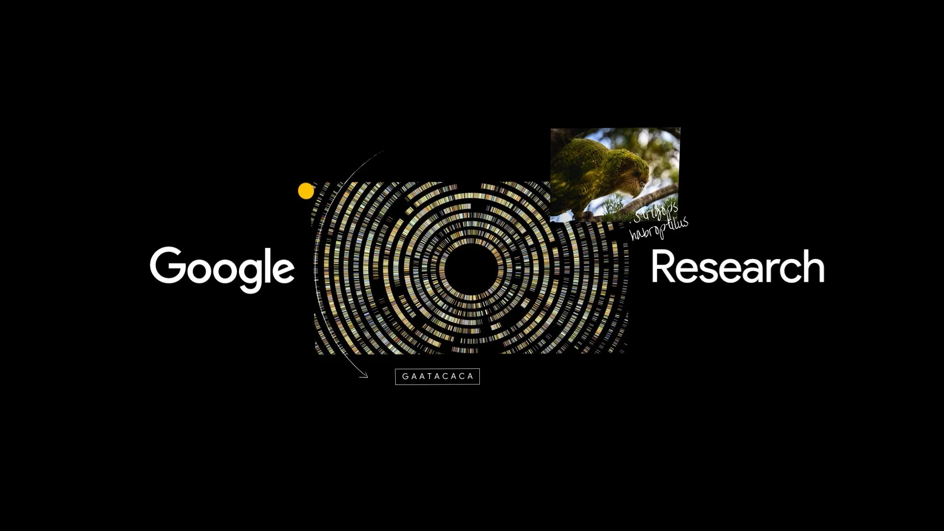Google_Genomics_Cover.jpg