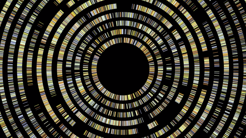 GR_Genomics_SEQ_11_1-ezgif.com-video-to-gif-converter.gif