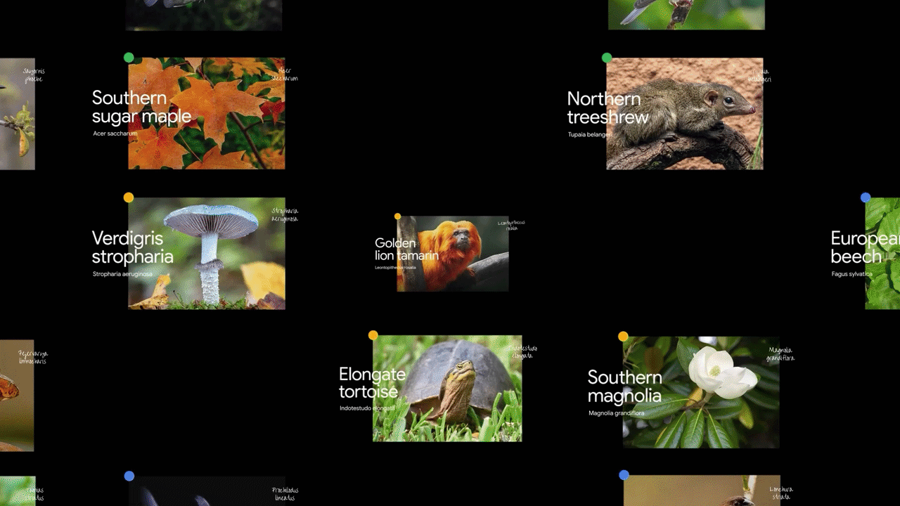 GR_Genomics_SEQ_02_1-ezgif.com-video-to-gif-converter (1).gif