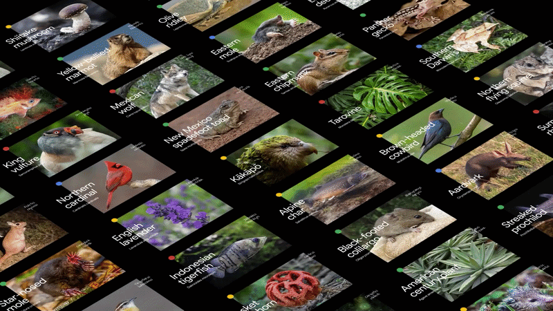 GR_Genomics_SEQ_06_1-ezgif.com-video-to-gif-converter.gif