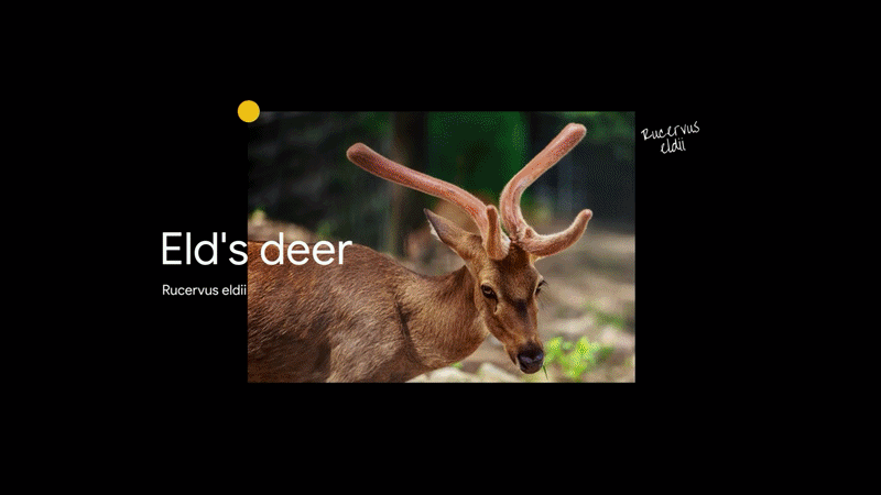 GR_Genomics_SEQ_10_1-ezgif.com-video-to-gif-converter.gif