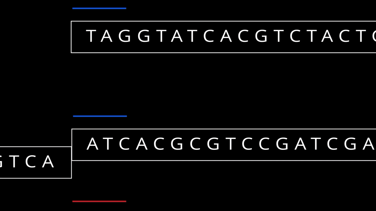 GR_Genomics_SEQ_03_2-ezgif.com-video-to-gif-converter.gif