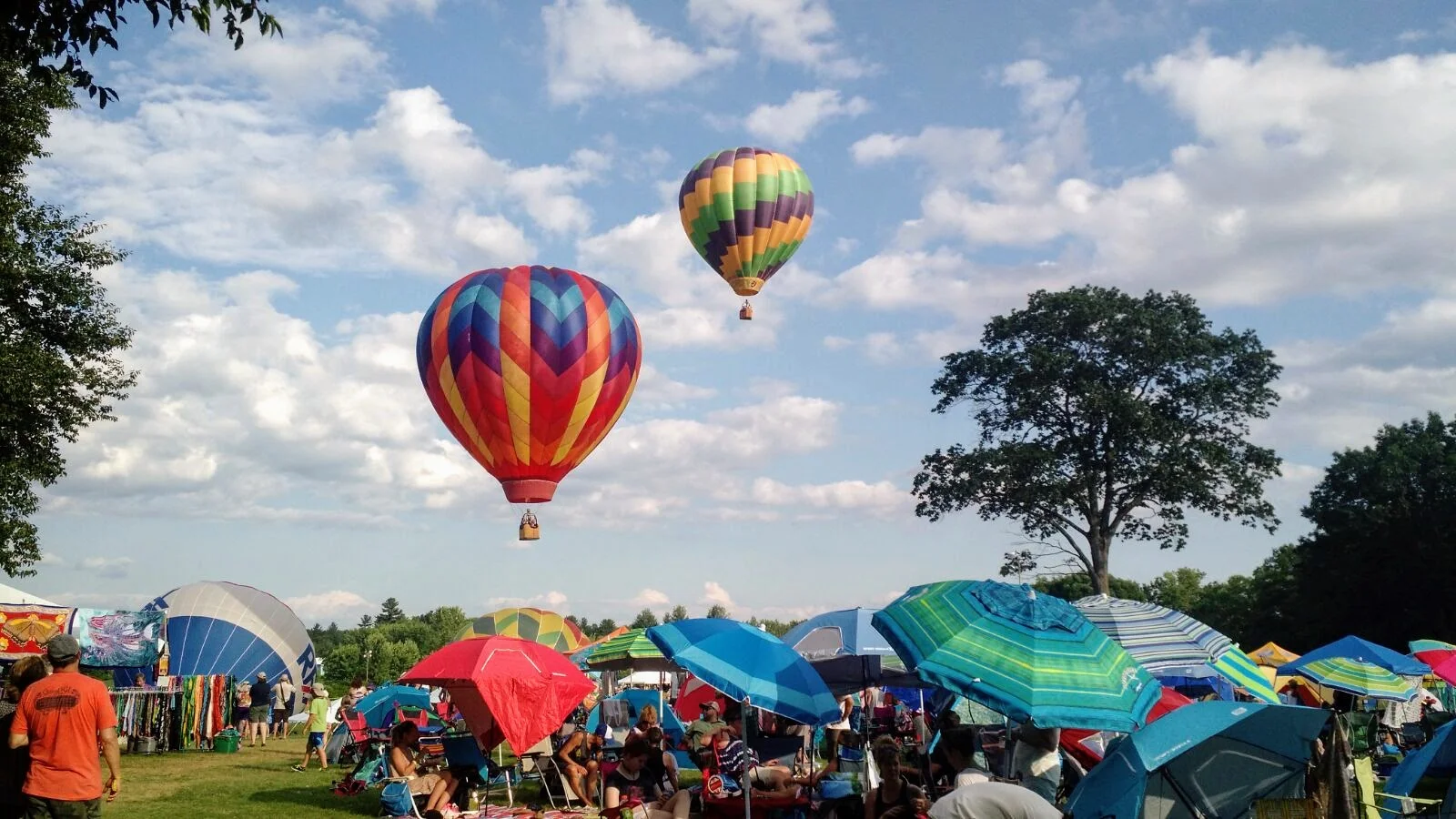 The Green River Festival