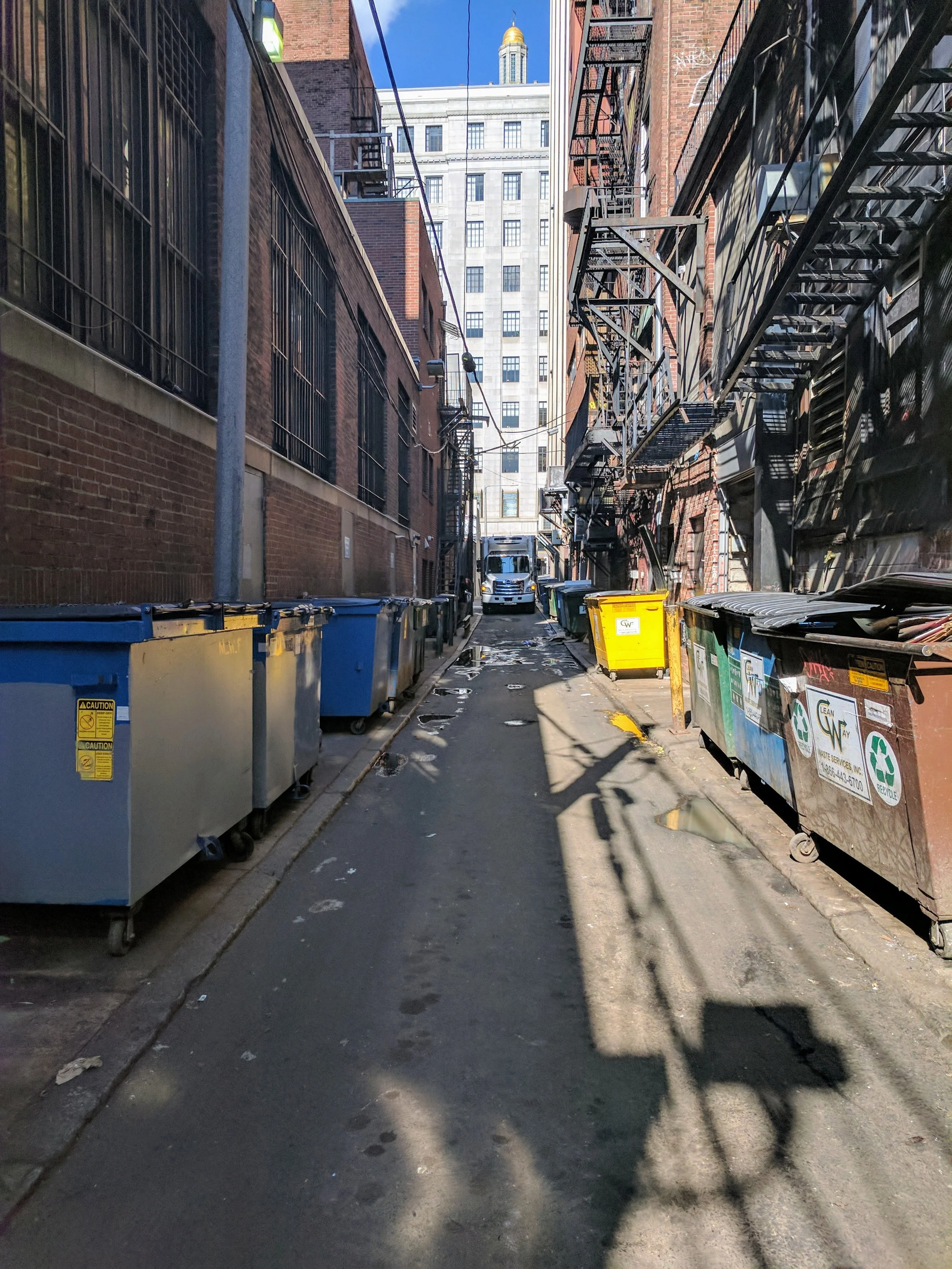 Boston Beauty