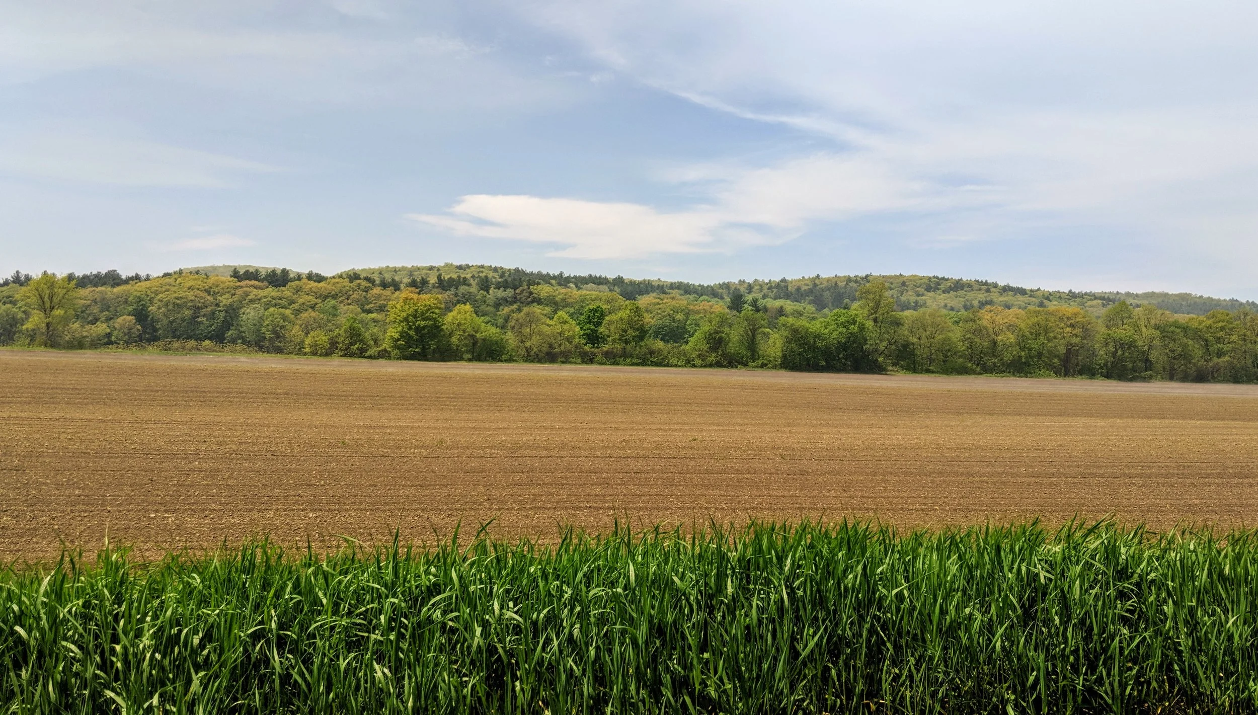 The Fertile Banks of the River Connecticut