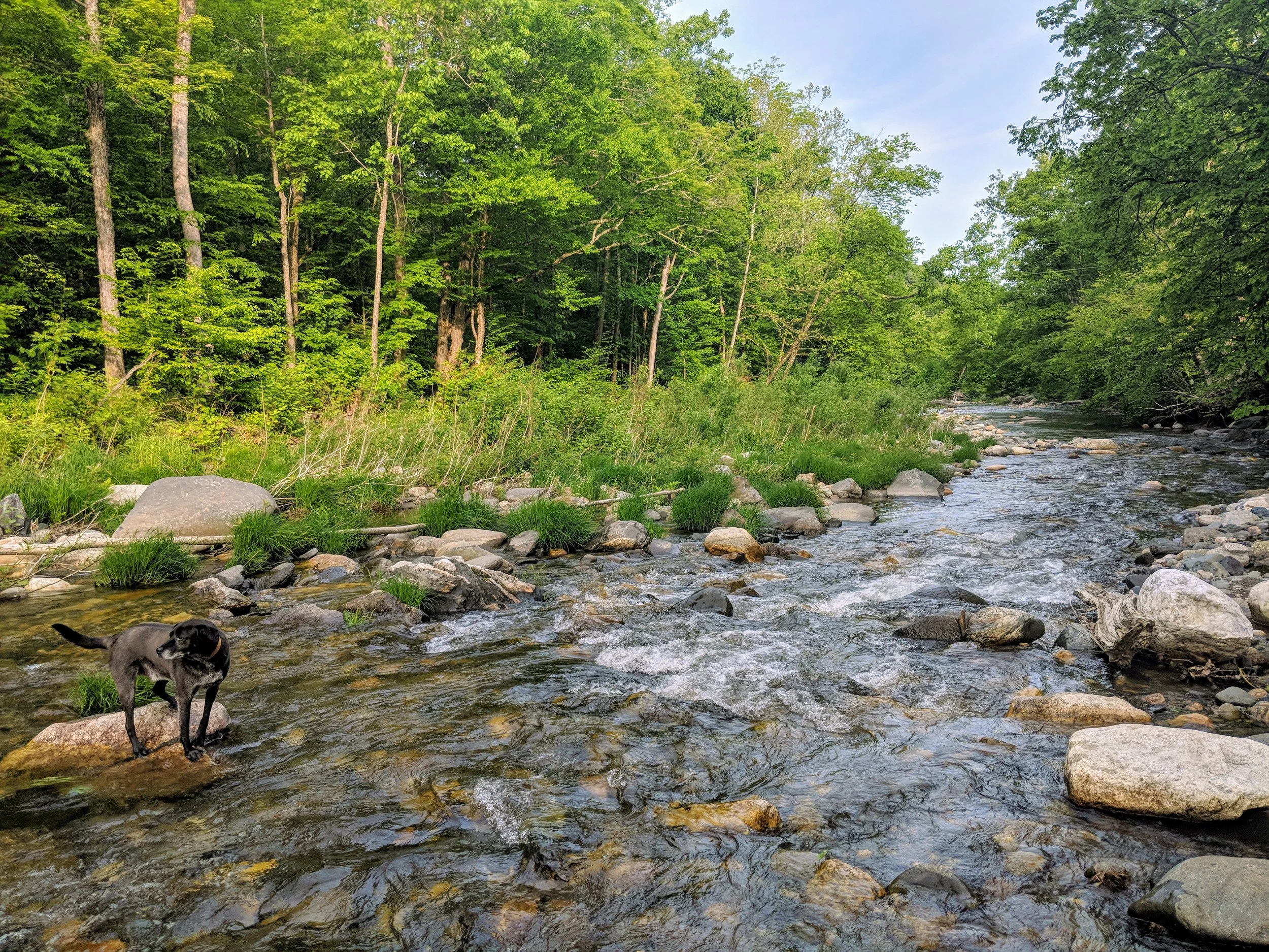 North River