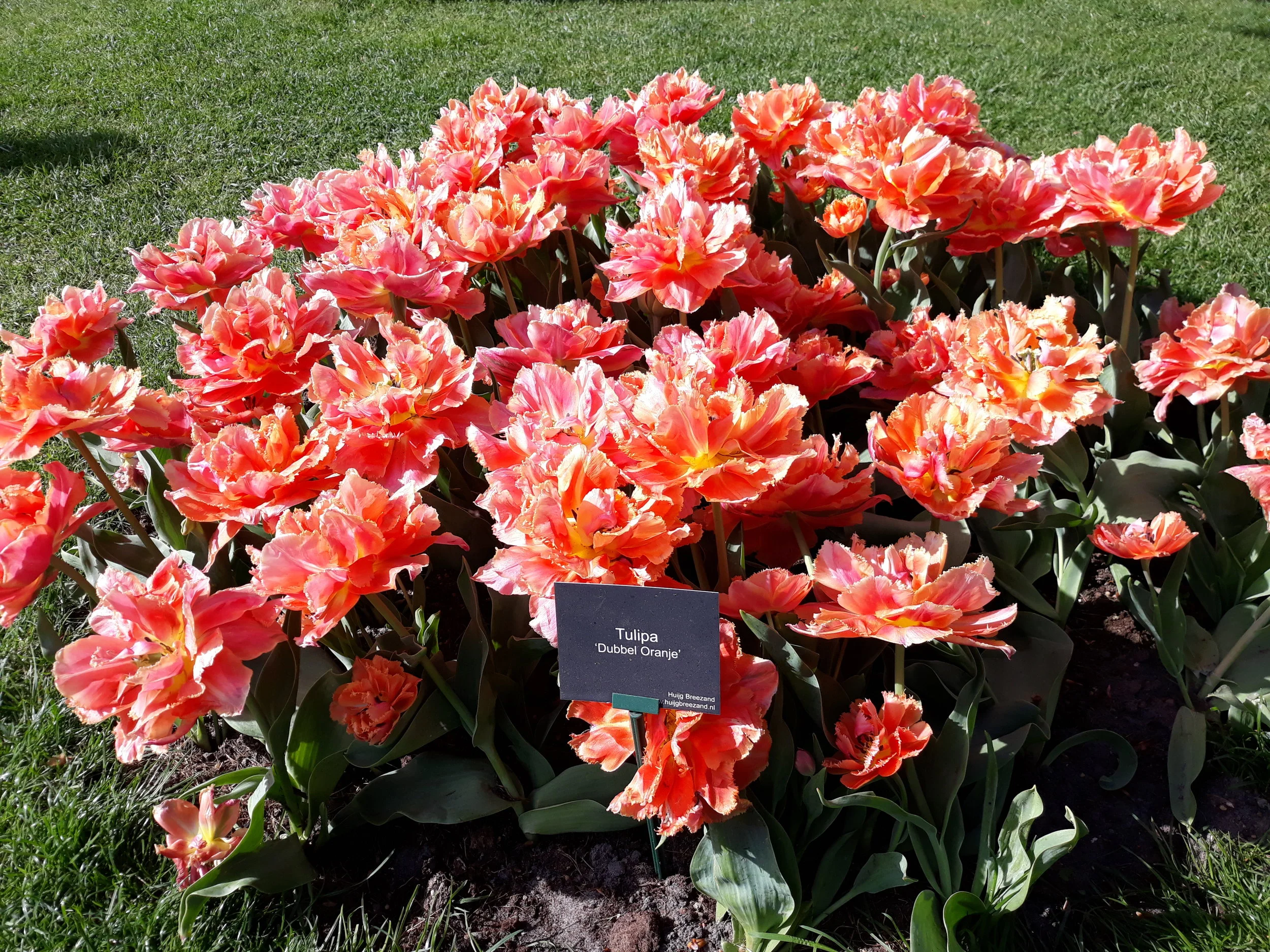 20190424_103900.jpg