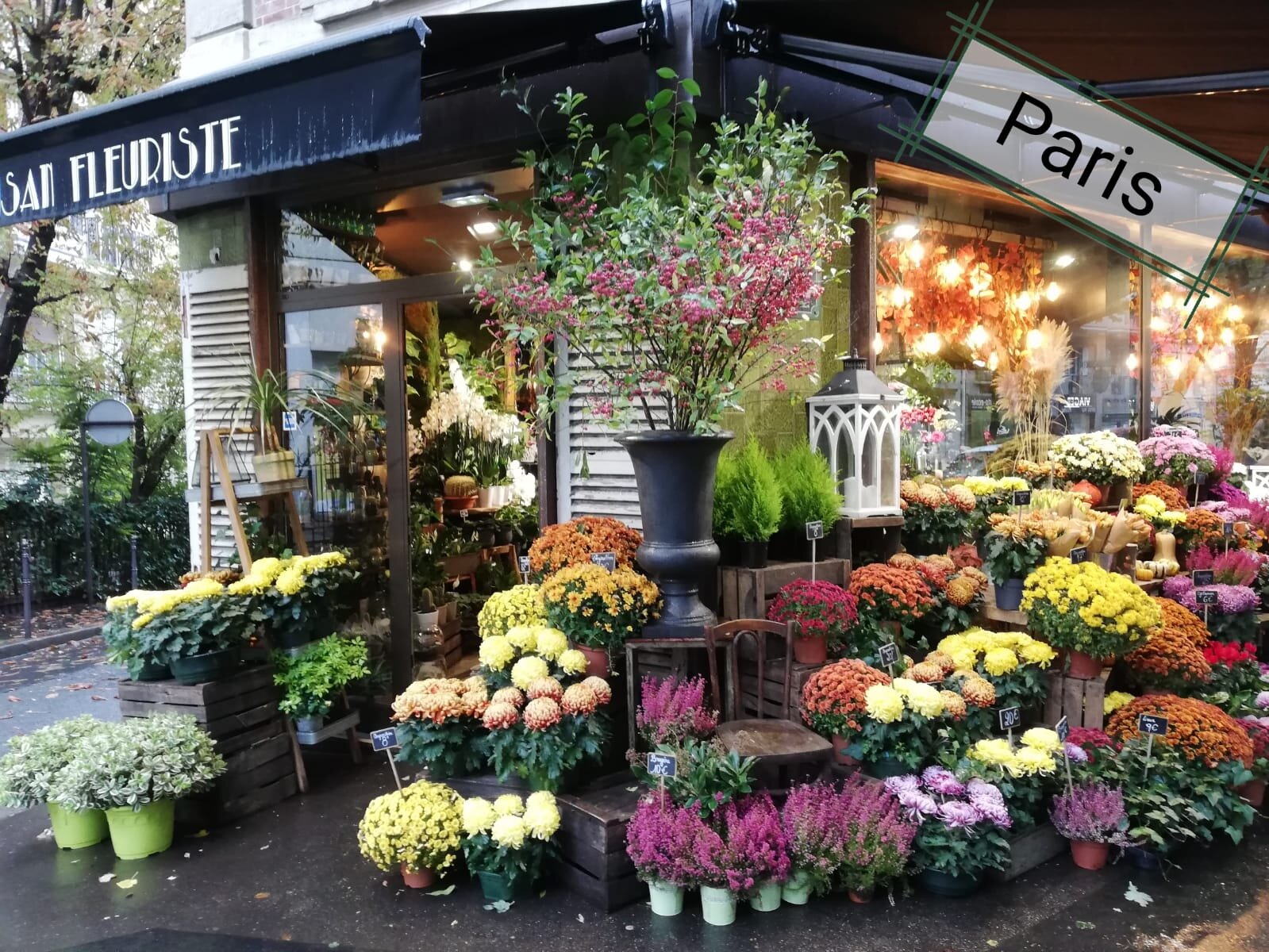 Paris Blumen.jpg