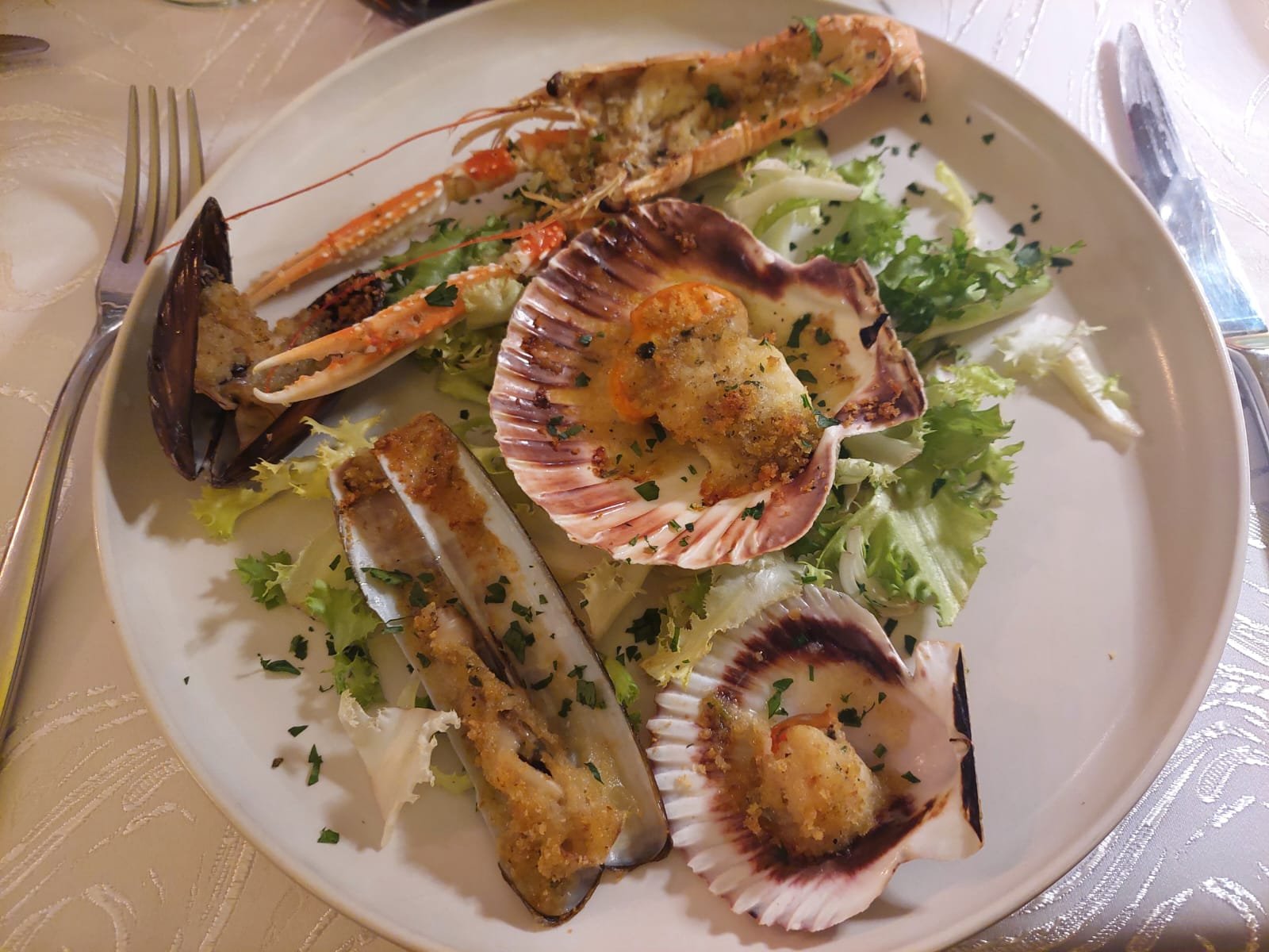 WhatsApp Image 2025-06-02 at 12.05.13.jpeg