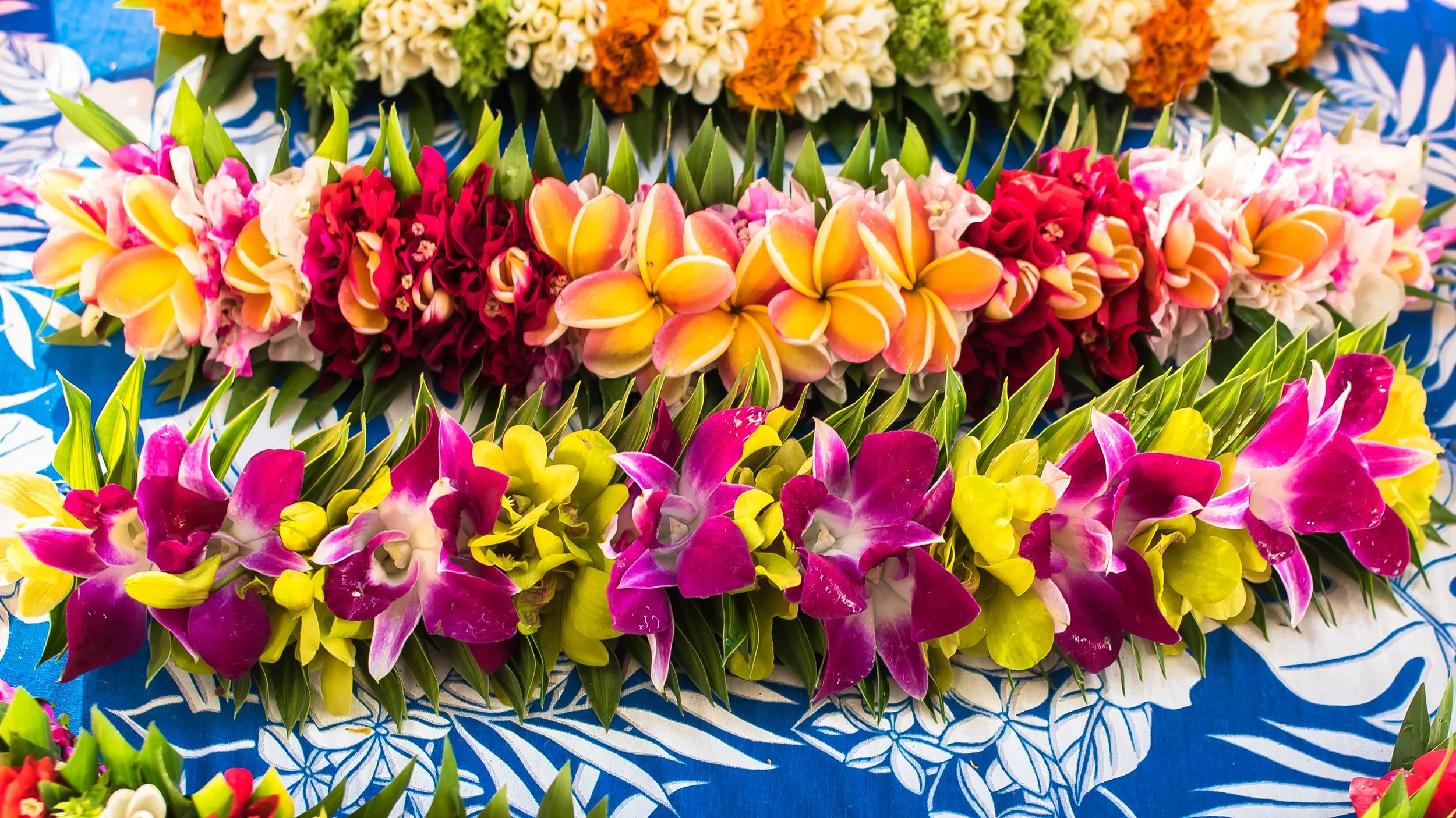 OCI_French Polynesia_Papeete_2025-09-16_10-06-51.jpeg