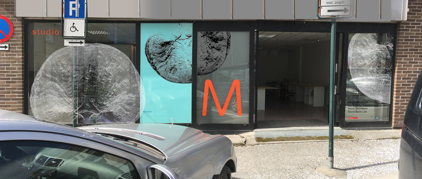 Digital manipulation of the facade before the exhibition project