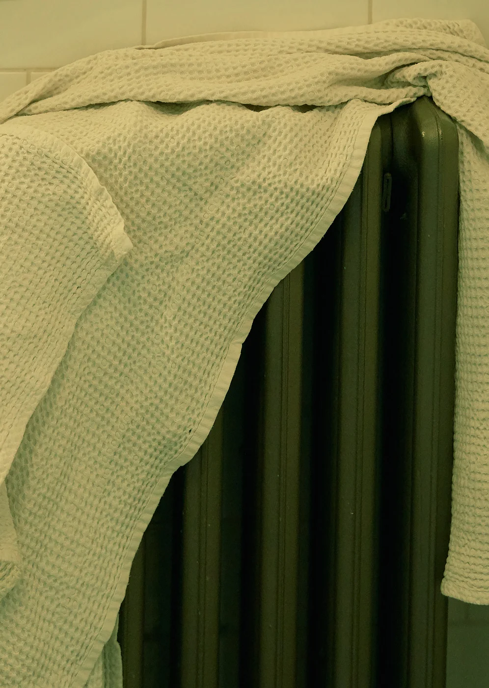 h_008.jpg