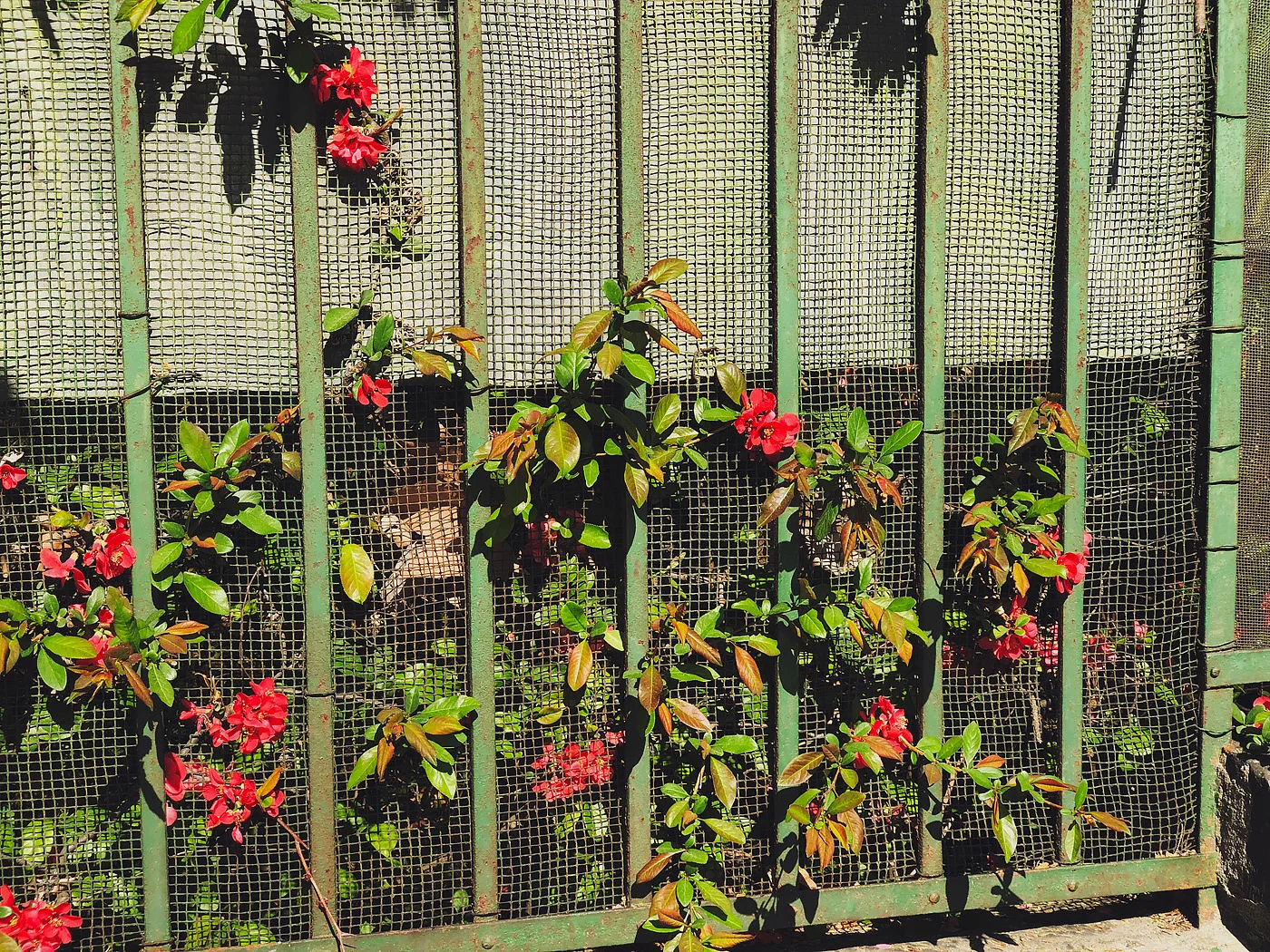 h_0016.jpg