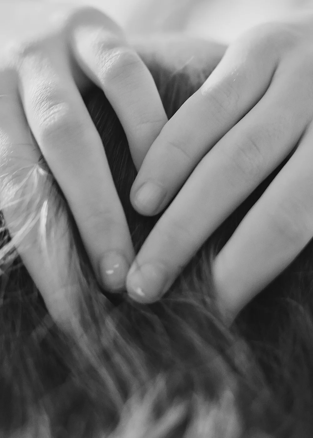 h_0019.jpg