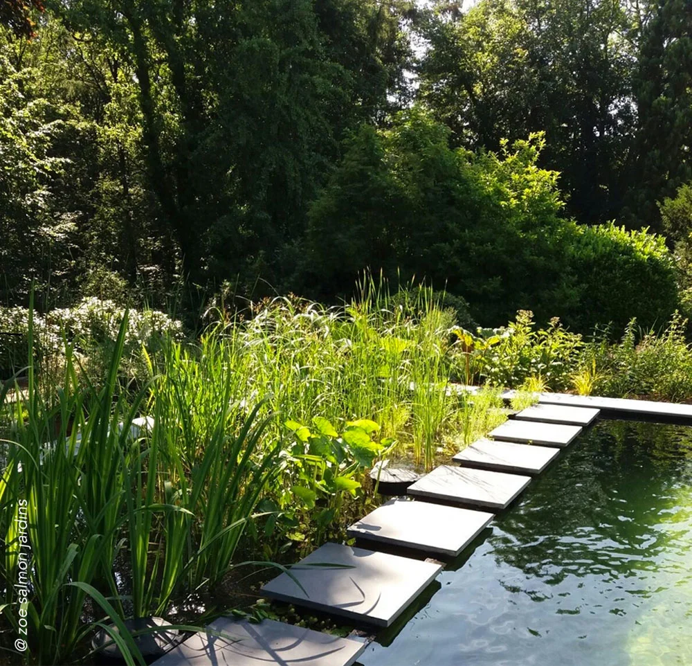 Piscine naturelle en lisière du bois jardin privé pour une habitation individuelle en lisière du bois. Réalisé en collaboration avec Zoé Salmon.